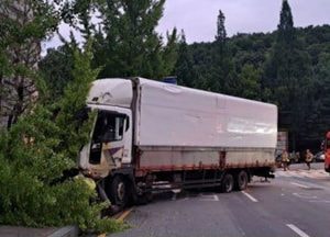성남 분당서 9중 추돌사고...30대 여성 운전자 경상