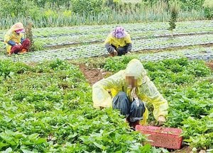 파주시, 상반기 농민기본소득 지급 완료…관내 농업민 1만 4739명에게 44억여 원