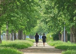 과천, 김포, 하남 등 경기지역 21개 시·군에 폭염주의보