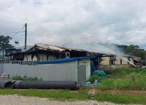 화성 장안면 돈사서 불, 45분 만에 초진