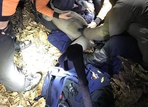 80대 치매환자 구조한 경기도북부특수대응단 구조대원 6명 ‘라이프세이버’ 선정