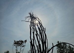 경기 대부분 지역에 폭염경보, 인천엔 폭염주의보 발효