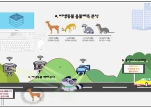 "200m 전방에 동물출현" 실시간 전광판이 알려준다 '로드킬' 예방