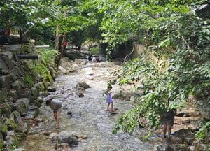 경기도 31개 시·군에 폭염특보 발효