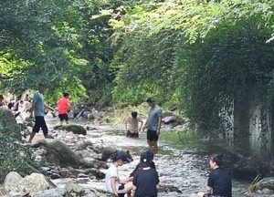 [공감, 세상구경] 수박·참외 둥둥 띄어 먹던 계곡피서
