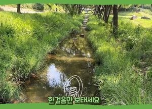 성남시 ‘우리 건강도시, 성남을 소개합니다’ 공모전 수상작 발표