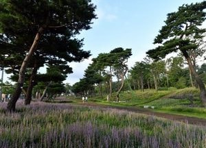 "소나무 가득" 수원시 노송숲 ‘아름다운 도시숲 50선’ 선정