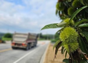 [내일 날씨] 경기·인천(4일, 일)...당분간 무더위 '낮 최고 35도', 경기동부 '소나기' 소식