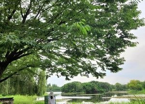 고양 일산호수공원, 산림청 주관 ‘아름다운 도시숲 50선’에 선정
