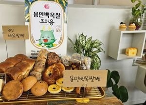 용인특례시, 지역 대표 농산물 ‘백옥쌀’ 활용한 제빵용 ‘백옥쌀가루’ 출시