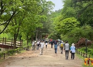 서울대 관악수목원, 한국-인도 현대작가교류전 전시기간 일부 개방...이달 21일부터 9일 동안