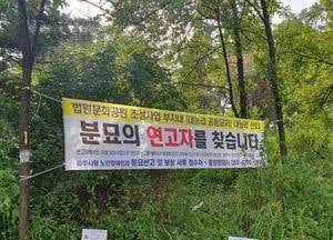 파주시, 법원읍 대능공동묘지 연고자 없는 무연분묘 700기 일제 정비