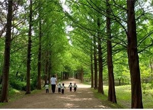 인천의 보석 같은 도시숲 6곳 ‘아름다운 도시숲 50선’에 선정