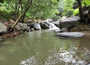 가평 계곡서 음주 수영하던 40대 남성 익사