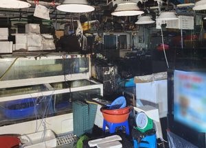김포 대곶 수산물직판장서 새벽 불, 해양경찰이 파출소 소화기로 진화