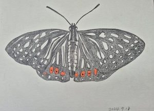 안양천생태이야기관, ‘안양천 생물 그림 전시회’ 18일까지 개최