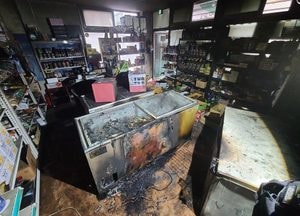 안산 상가 식자재 판매점서 불, 29분 만에 진화