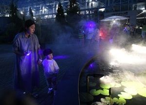 광릉숲, 여름밤 특별한 숲의 매력 "썸머 블룸 프로그램" 운영, 29일부터 3일간