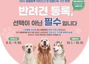 용인시, 내달 30일까지 동물등록 자진신고 기간 운영..내장형무선식별장치비 2만원 지원