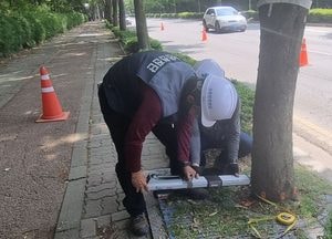 인천남동구, 태풍 피해 대비 위험 가로수 안전조치… ‘구민 안전 최우선’