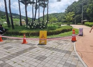 군포 초막골생태공원서 말벌 쏘인 70대 사망