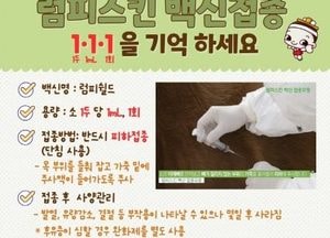 안성시, "럼피스킨 백신접종 1·1·1을 기억하세요" 정확한 백신접종 요령 일제 배포