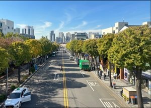 인천시, 산림청 평가 우수 관리 가로수길 6개소 중 2개소 선정