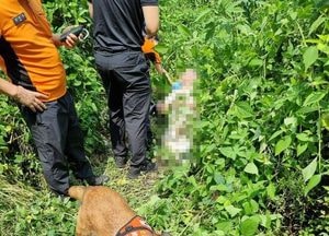 경기도 북부특수대응단 119구조견 '전진'… 폭염 속 쓰러진 치매노인 구조