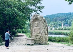 [사진으로 봤다] 천년고찰 그리고 연꽃 엔딩, 아름다운 '봉선사'