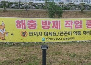 인천 서구, 공원·산책로에 친환경 끈끈이 현수막 설치…해충 문제 효과적 해결