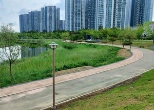 인천경제청, 청라호수공원에 마사토로 된 흙길 조성...왕복 800미터 코스