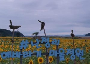 인천시, 섬 고유자원 활용해 ''주민소득 높이고 지역경제 이끈다''