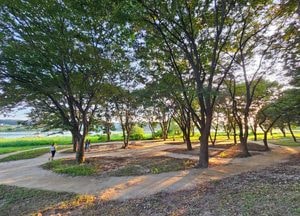 '열풍은 열풍' 여주 남한강변에 예쁘게 생긴 맨발길 탄생
