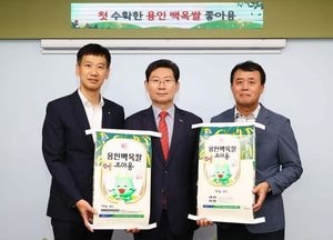 용인특례시, 추석 앞두고 밥맛 좋은 백옥쌀 공급 확대 힘쓴다