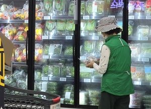 경기도 내 유통 중인 특수채소 77건...잔류농약 검사 모두 '적합'