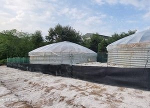 김포시 ‘ASF 발생 방역대 내 양돈농가 추가 양성 반응 없어’