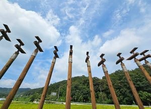 수도권 대부분 폭염특보 발효...용인·안성은 '폭염경보'