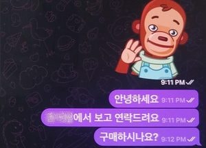 경기남부청, 딥페이크 불법합성물 거래한 27명 검거...판매자 2명 구속