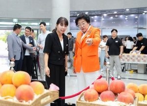 이천시 햇사레 장호원복숭아축제에 8만2천여 명 방문...3일간 약 1만1400박스 판매 성과
