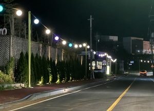 파주 탄현면 성동리 맛고을 ‘빛의 거리’ 재탄생…약 1km 야간경관조명 설치 ‘빛 테마거리' 조성