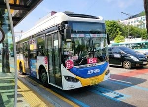구리시, 코스모스 축제 기간 마을버스…총 7개 노선 구리한강시민공원 연장 운행