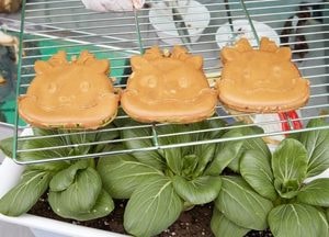 용인 특산품과 공식캐릭터 콜라보 '조아용 빵' 시민에게 첫선