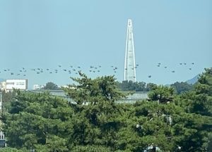 국군의 날 예행연습 중인 군인들