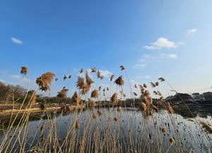 [내일 날씨] 경기·인천(2일, 수)...'겉옷 챙기세요' 아침기온 뚝↓