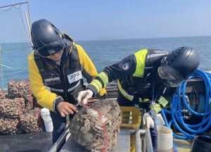 경기도, 10월 말까지 가을철 성어기 불법어업 집중 단속