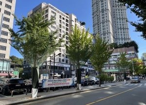 화성시, 가을철 ‘은행 열매 수거 장치’ 시범 설치...악취제거 총력