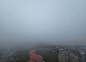 절기상 한로 아침에 낀 짙은 안개
