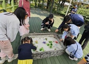 인천 부평구, 인천나비공원에서 가을 나들이 행사 개최