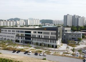횡단보도서 70대 노인 치어 숨지게 한 20대 여성