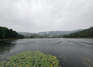 [내일 날씨] 경기·인천(18일, 금)...내일 강풍에 '가을비'